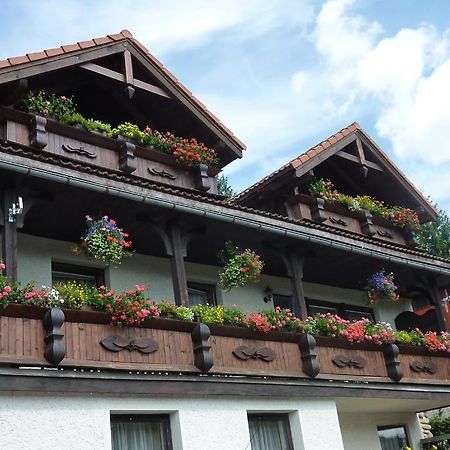 Pension Pretty Harrachov Exterior foto